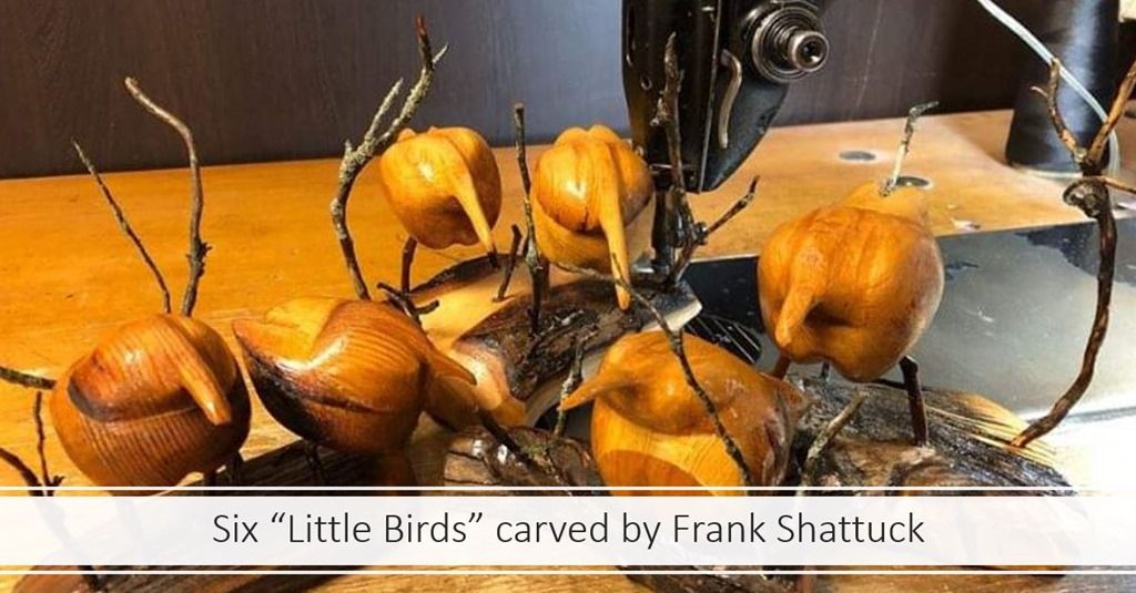 Frank Shattuck six birds