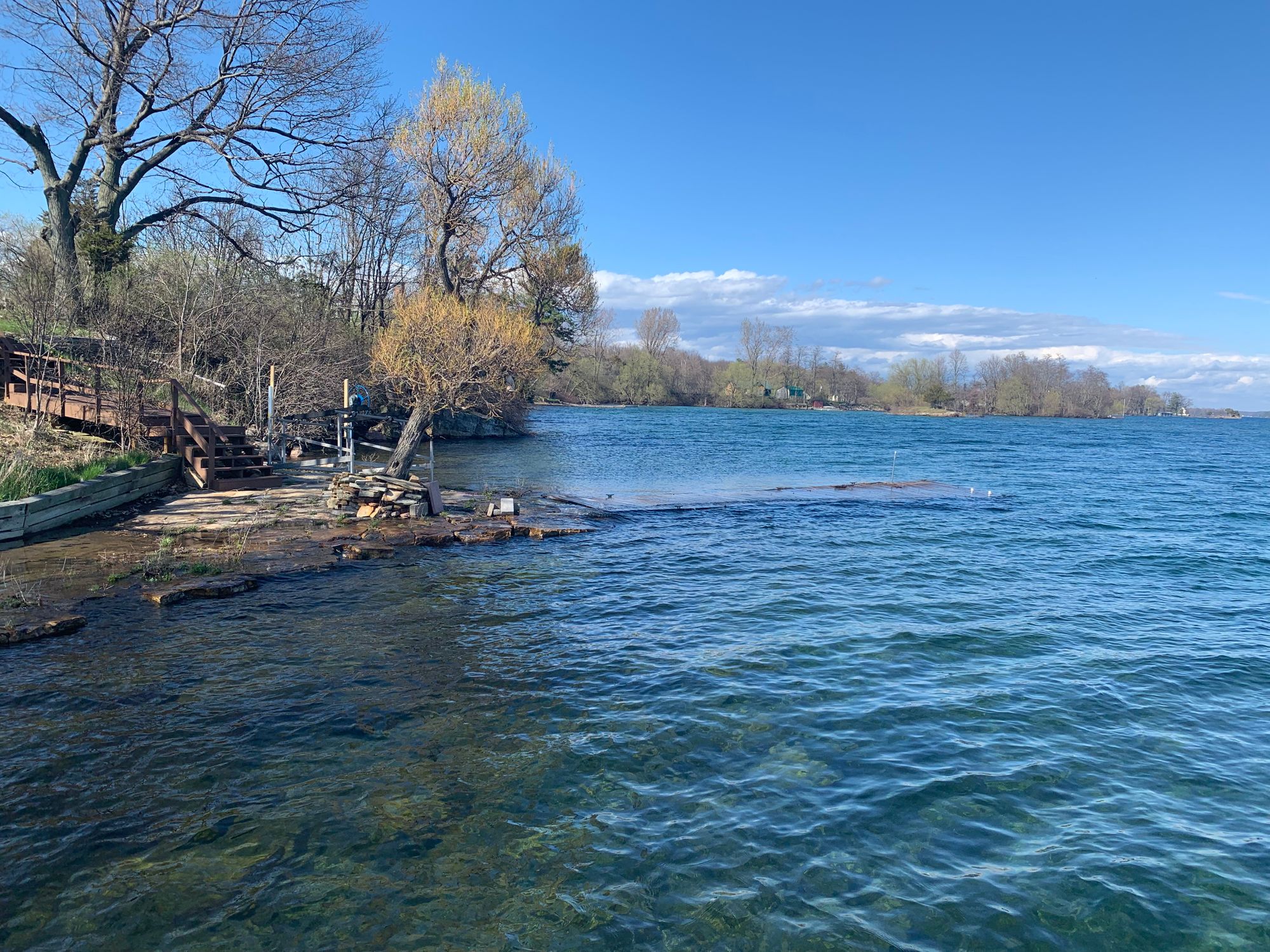 TI Life News for May '19