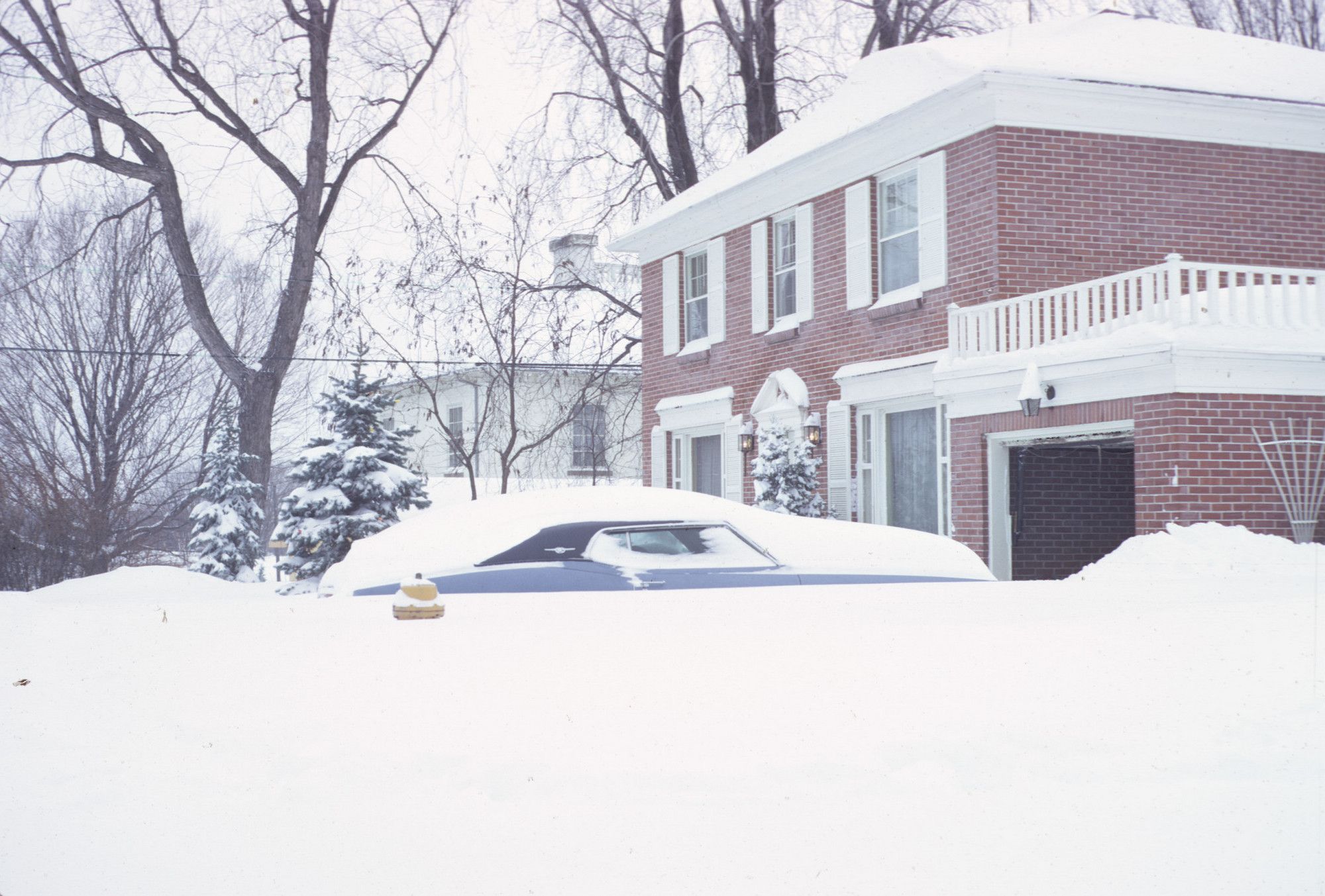 Leaving the snow