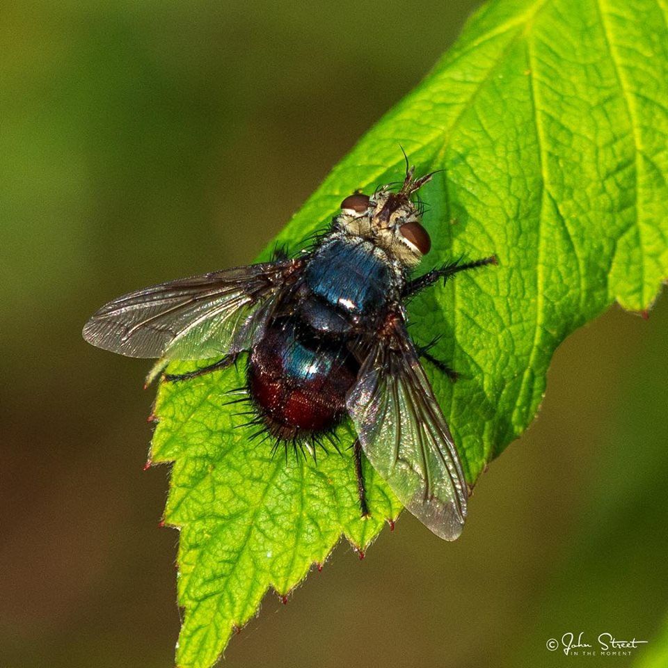 TI Life Happenings in September