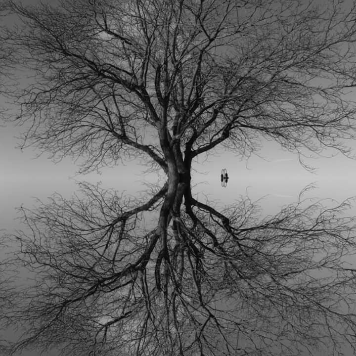 TI Life News in January '21