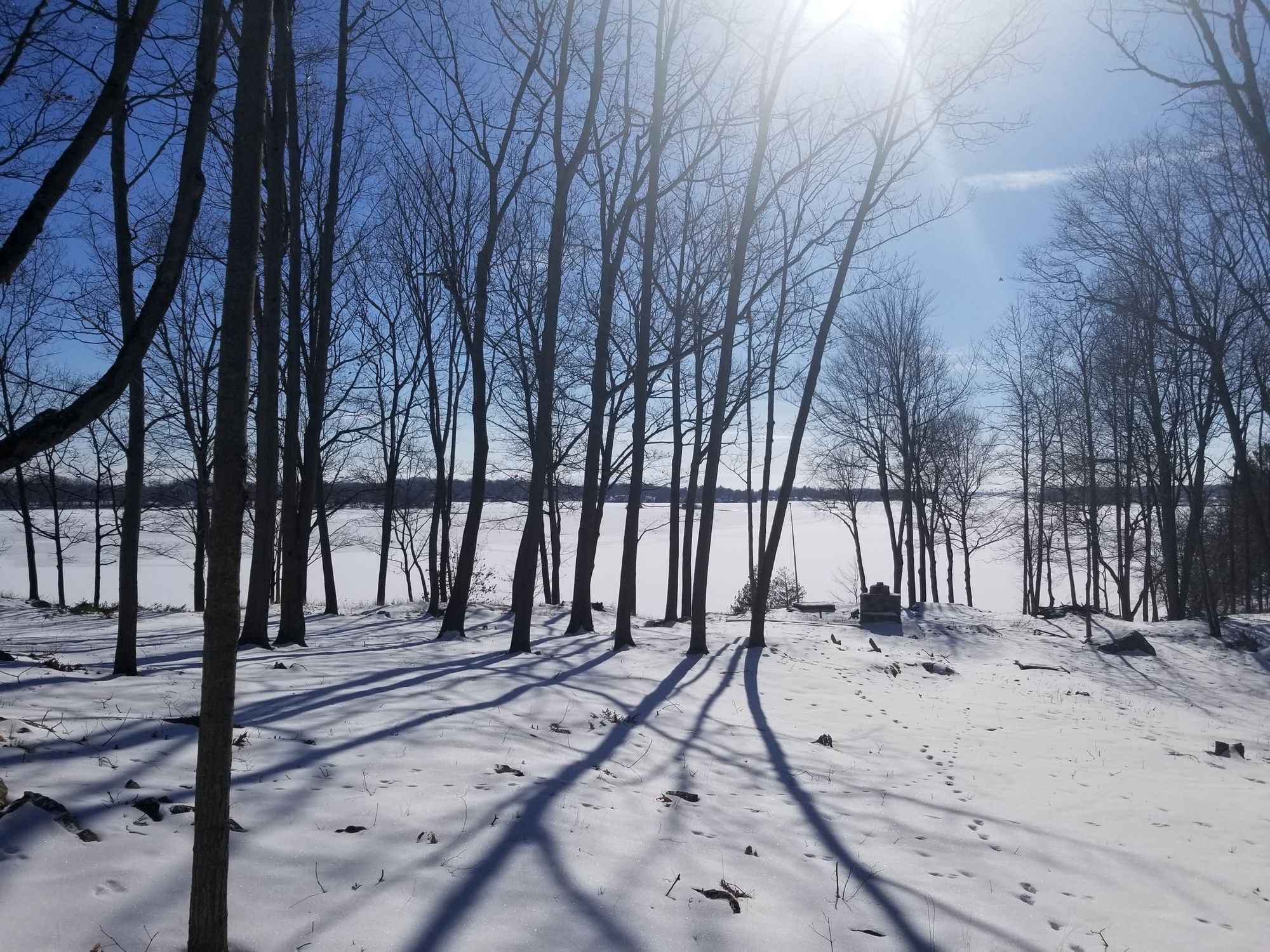 TI Life News in March '21