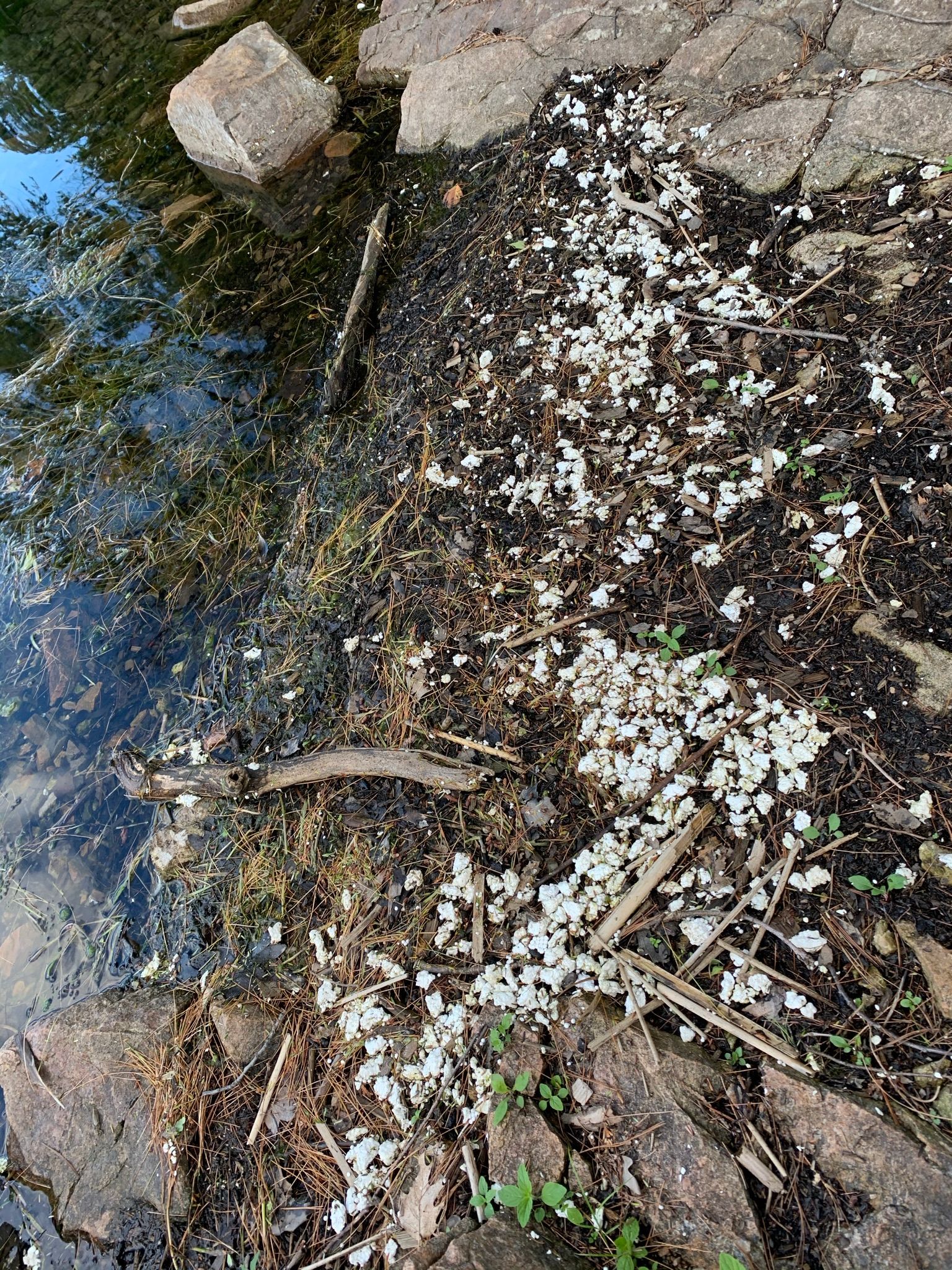 The Perils Of Polystyrene