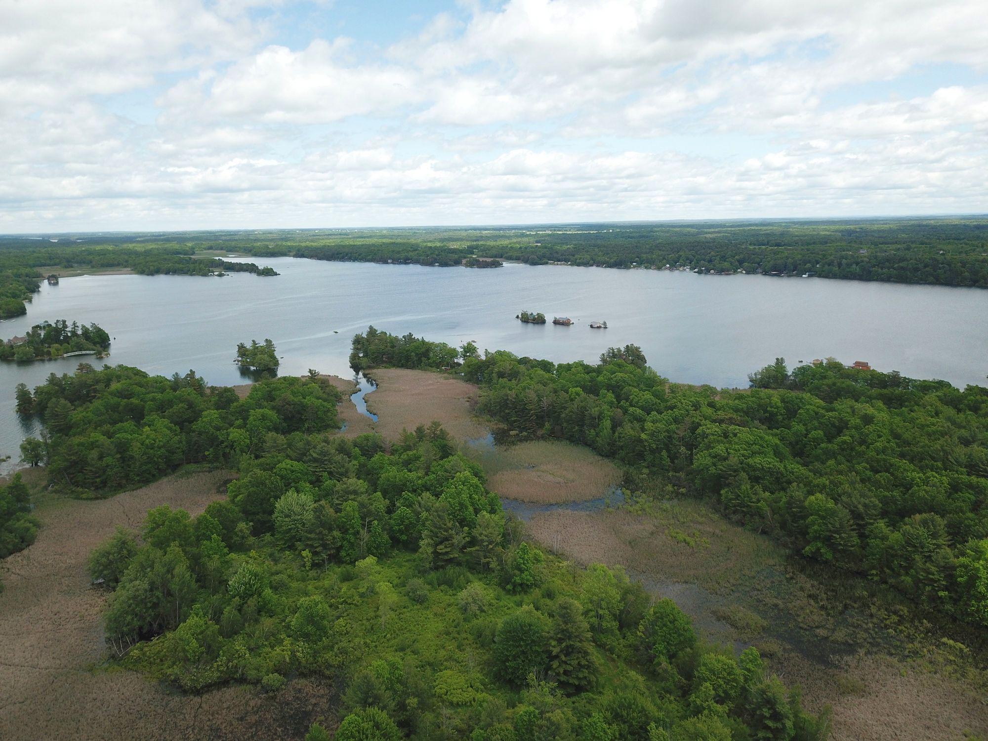 Conserving Island Number Nine