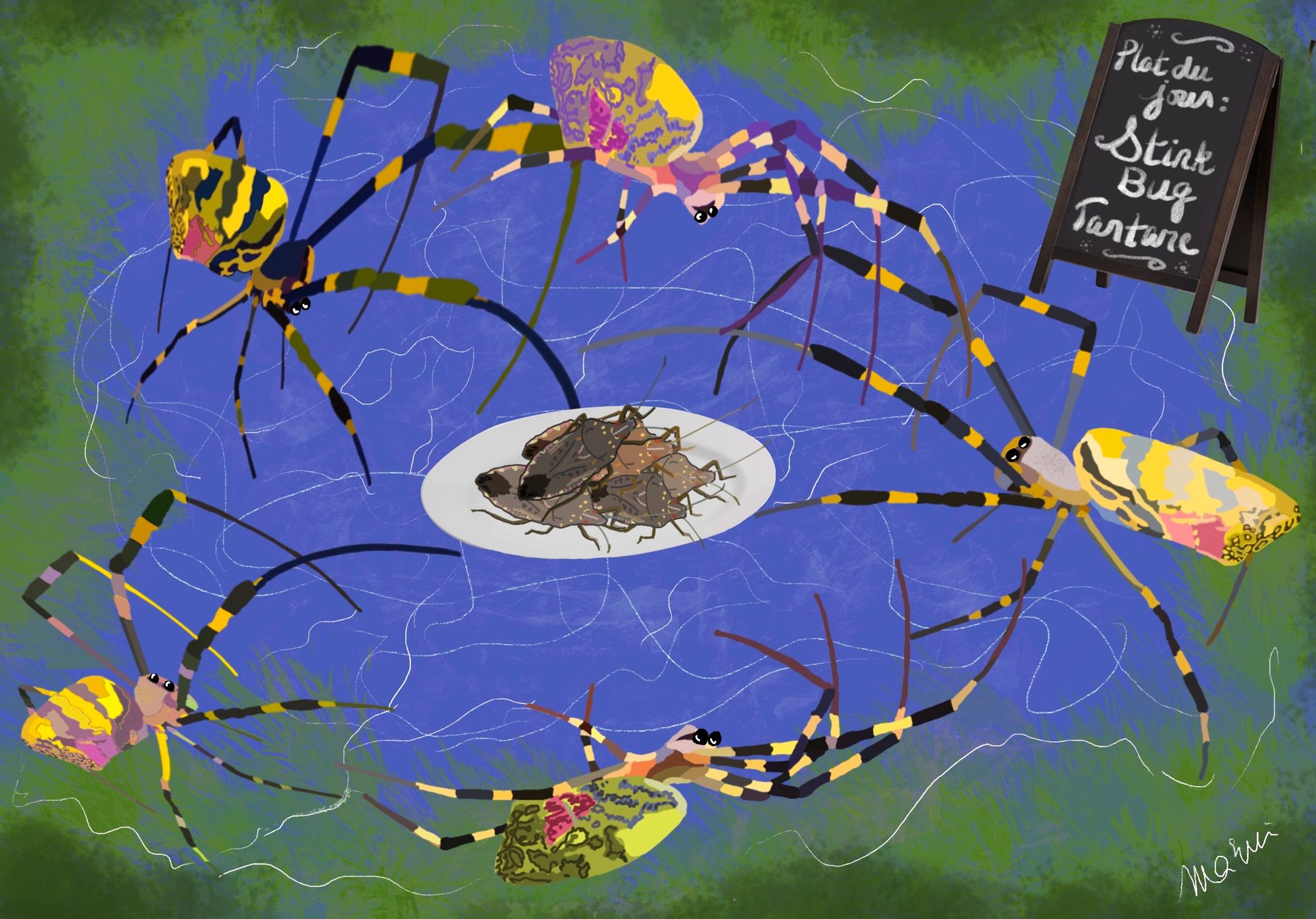 The Giant Joro Spider - Thousand Islands Life