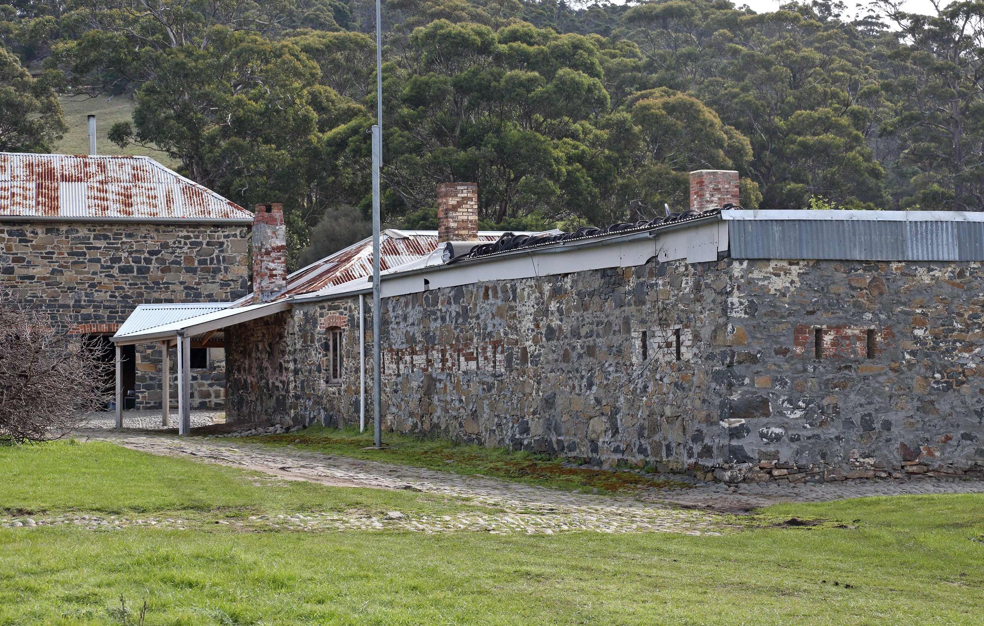 Patriot Chronicles: Nepotism and Mr. Noyes