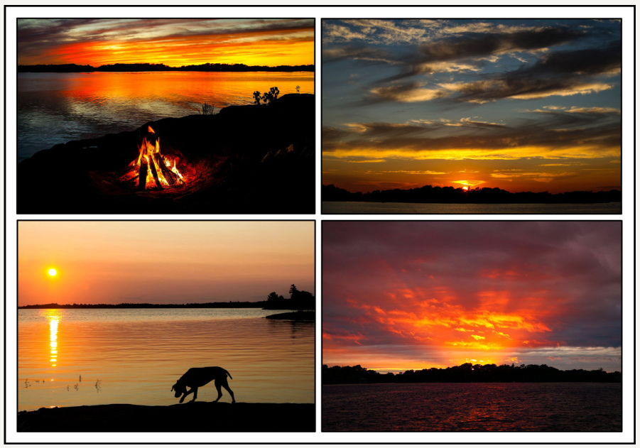 An Old Dog Learns Some New Tricks