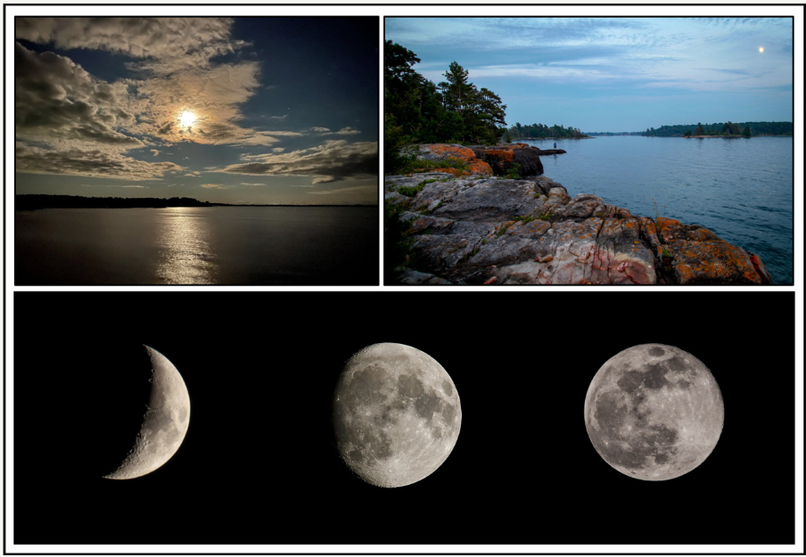 An Old Dog Learns Some New Tricks