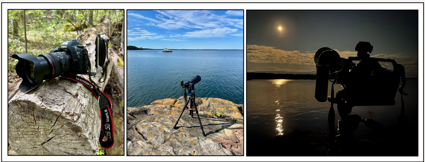 An Old Dog Learns Some New Tricks