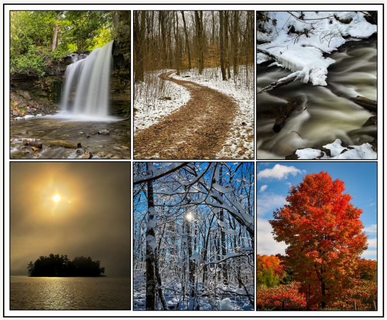 An Old Dog Learns Some New Tricks