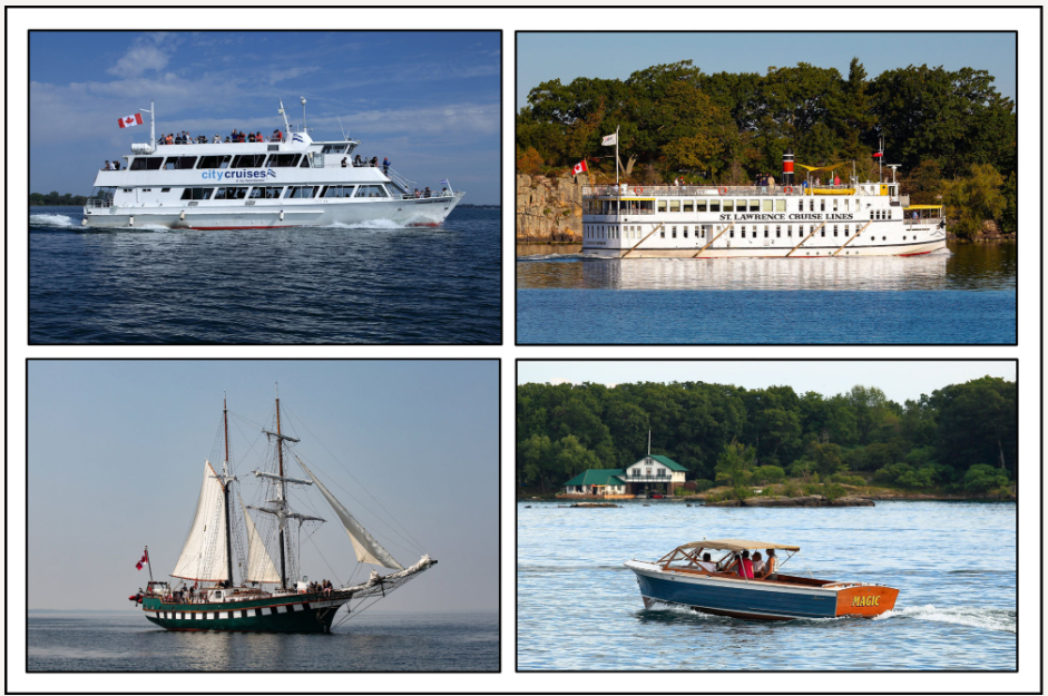 An Old Dog Learns Some New Tricks