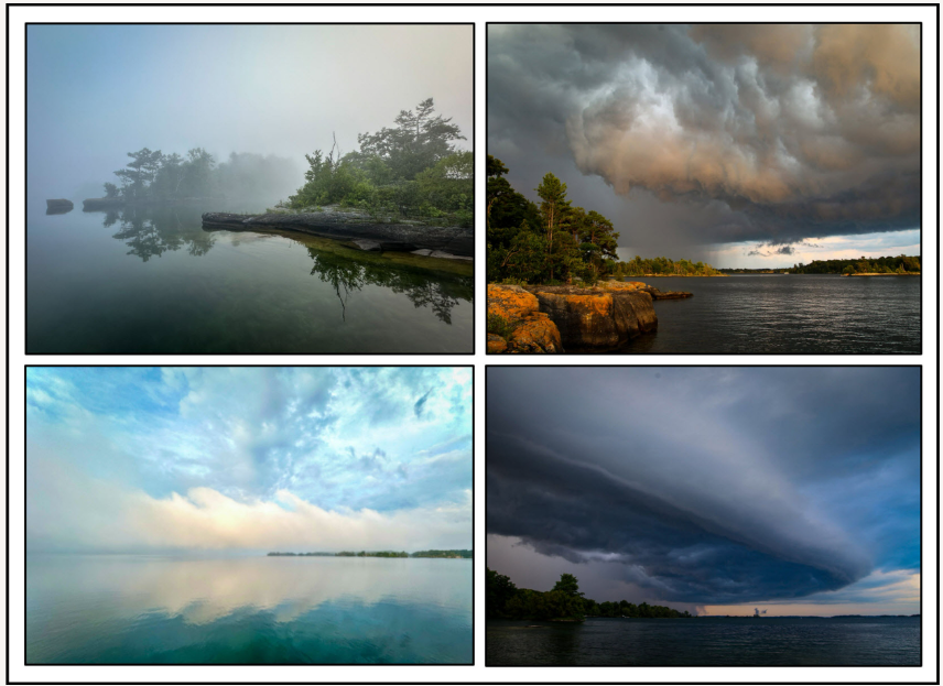 An Old Dog Learns Some New Tricks