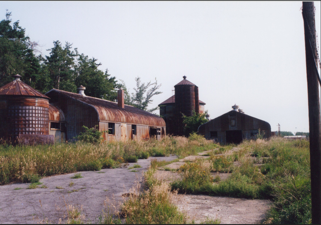 From Rust to Revival: The Story of Zenda Farms