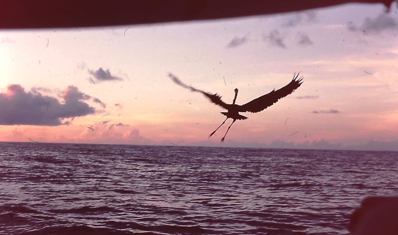 Voyage to Antigua on "Palawan"