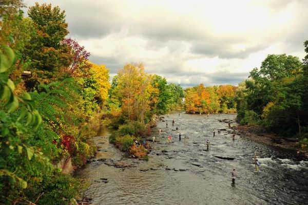 Thousand Islands Life Magazine, The Salmon River, Pulaski